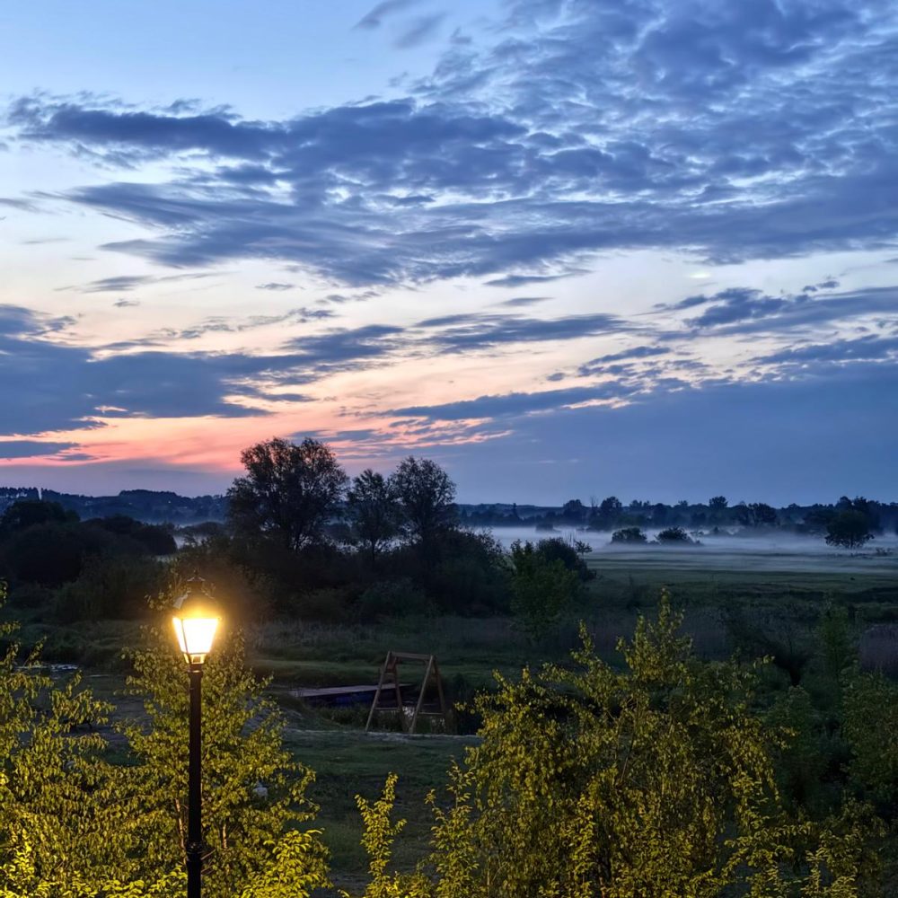 WhatsApp Image 2025-07-08 at 07.23.19